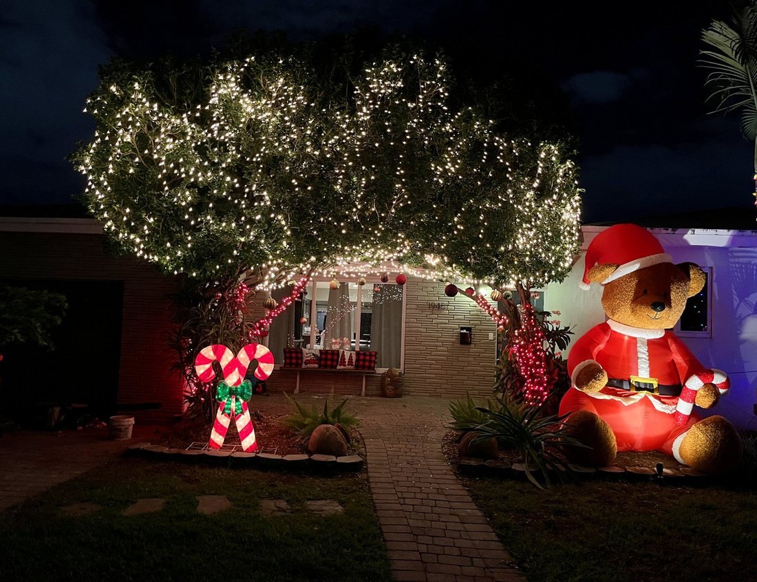 Royal palm wrapped trunk to crown with warm white lights at night, Apollo Beach holiday lighting