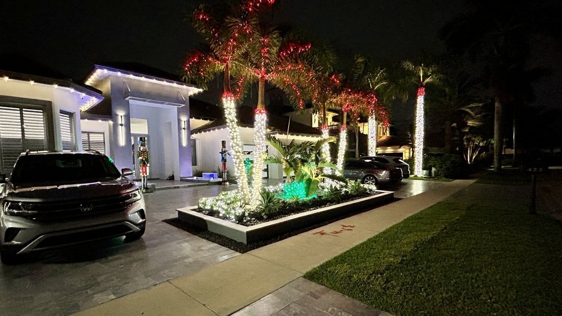 Cluster of wrapped palms lighting a wide estate frontage at night, Belleair holiday lighting
