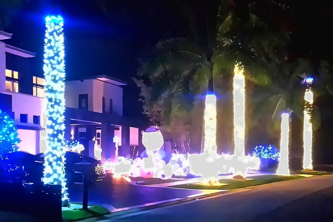 Palm wrapped to the crown with lit caps at the top, Culbreath Isles holiday lighting Tampa