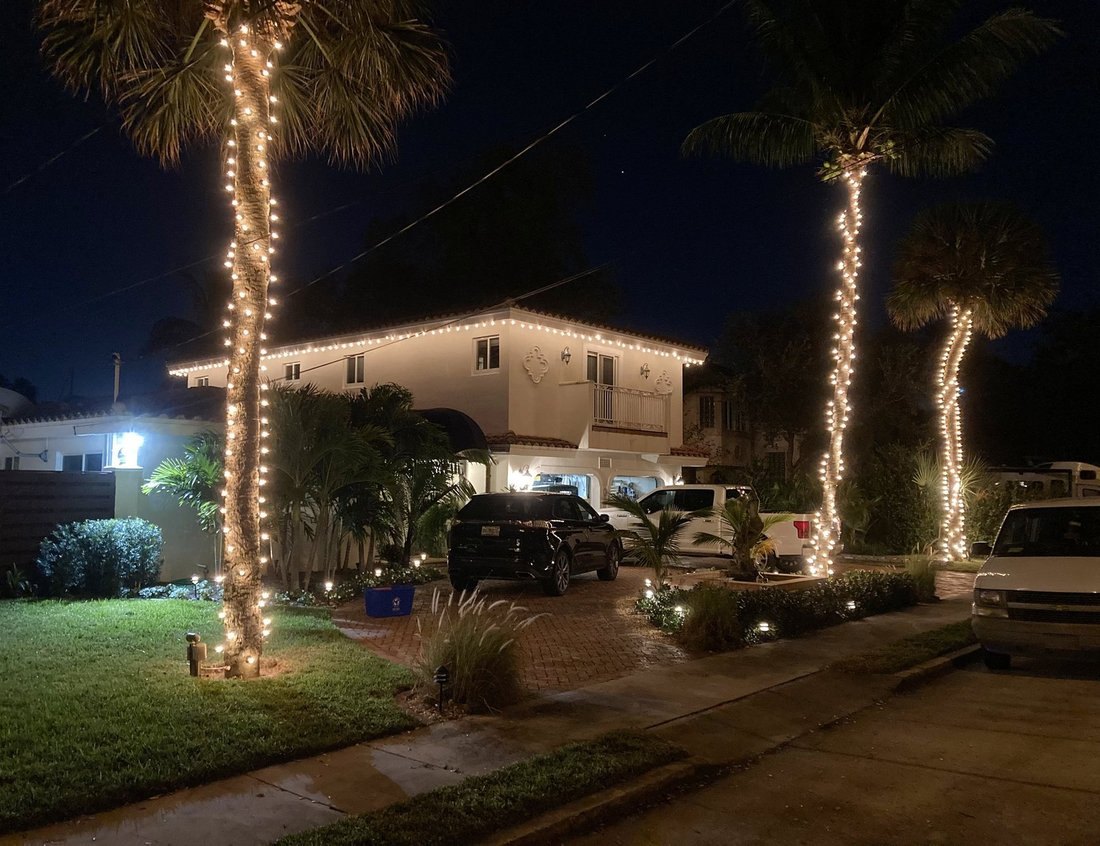 Street lined with wrapped palms and lit driveways at night, Dunedin Christmas light installation