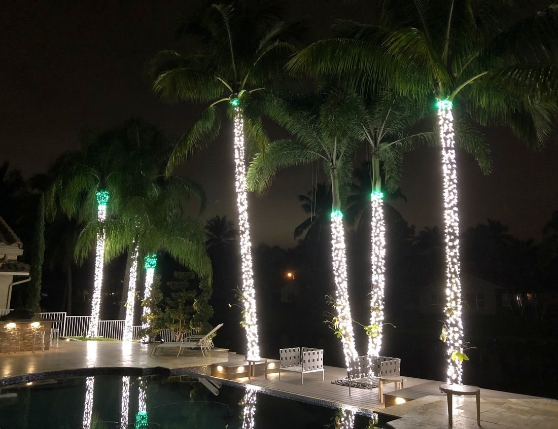 Tall palms wrapped in warm white lights beside a pool at night, holiday lighting Tampa Bay