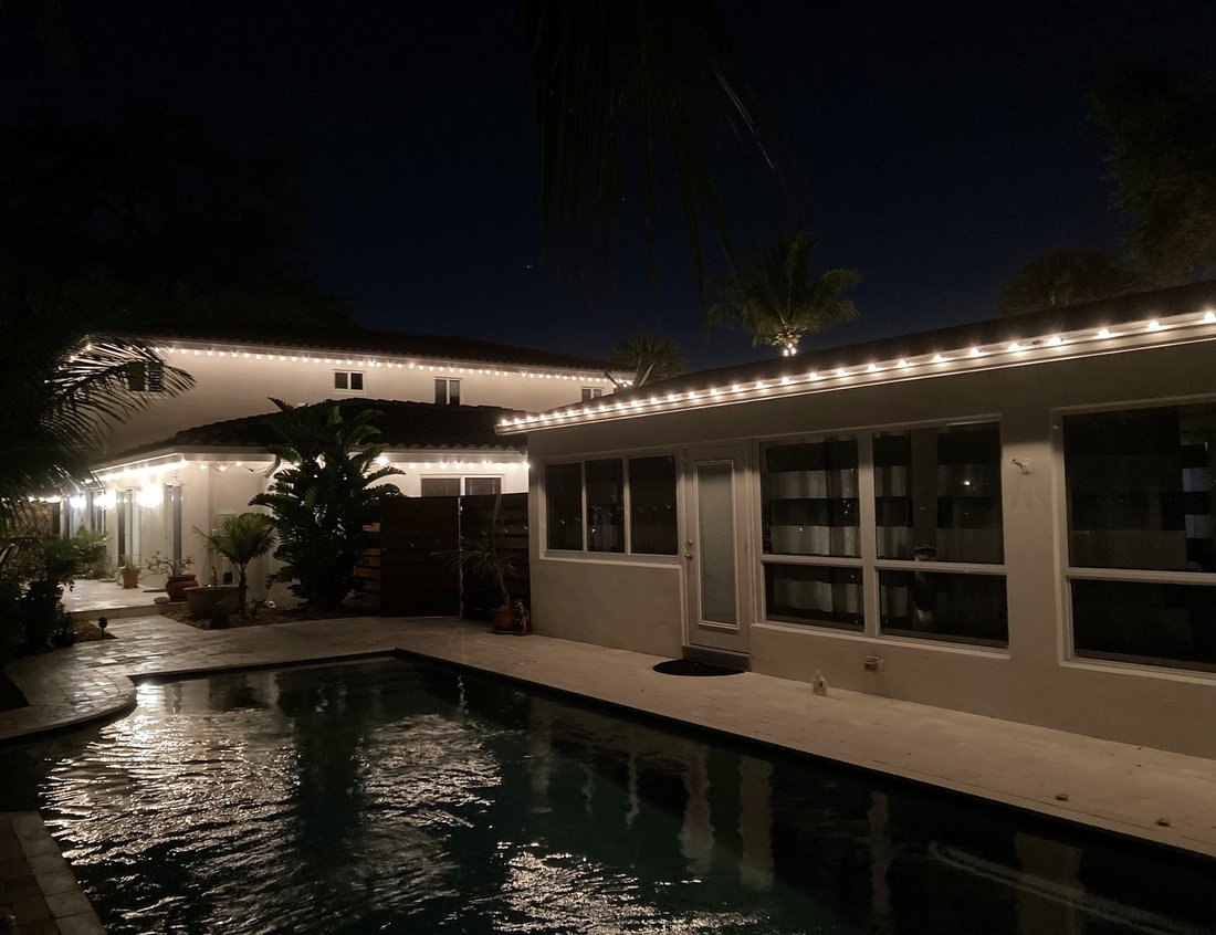 Canal-side street with wrapped palms and lit homes at night, Island Estates Clearwater holiday lighting