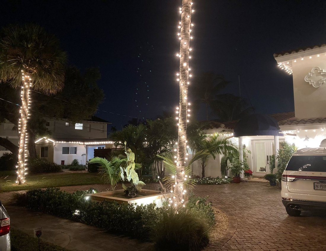 Poolside palms wrapped in warm lights at night, Sand Key Clearwater Christmas lighting