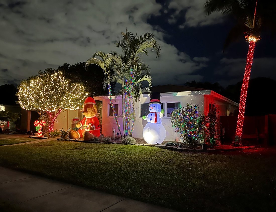 Lit canopy tree and red-wrapped palm in front of a home at night, Shore Acres holiday lighting