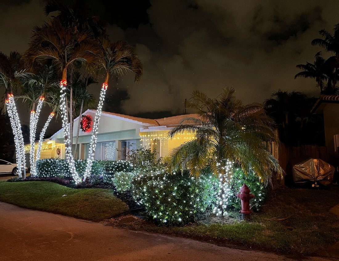 Home with red-capped wrapped palms and lit landscaping at night, St. Pete Beach holiday lighting