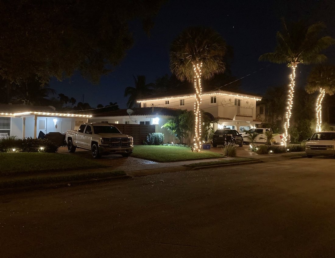 Palms wrapped trunk to crown along a residential street at night, Tarpon Springs holiday lighting